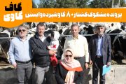 فیلم | گاف گاوی | سه نخبه دامدار در انفرادی زندان اوین! فیلم | گاف گاوی | سه نخبه دامدار در انفرادی زندان اوین!